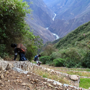 Stairs to the Llamas